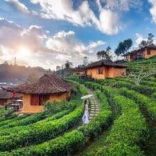 Corporate in kerala Go Kerala tours